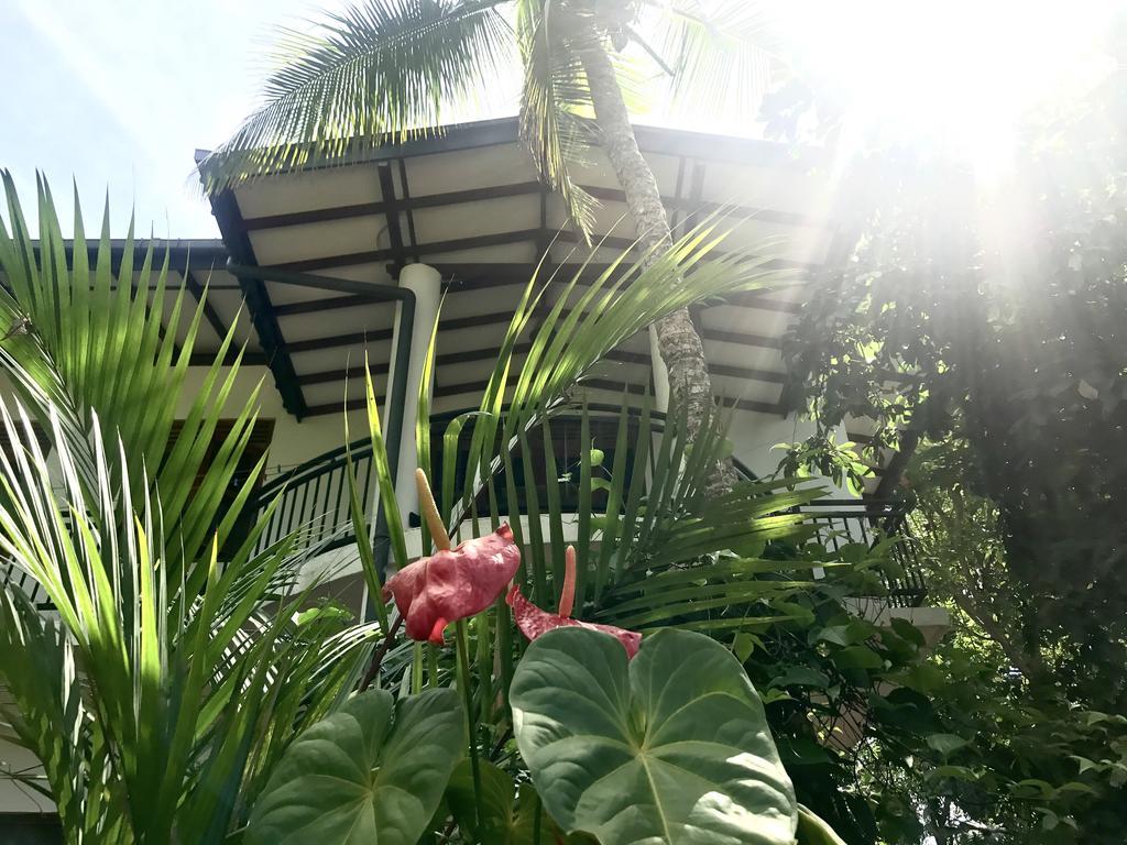 Mount Nature Villa Hikkaduwa Room photo